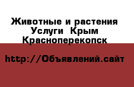 Животные и растения Услуги. Крым,Красноперекопск